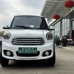 Adult Driving Made In China Hot Selling In Europe With EEC Mini Electric Car