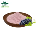 Pure Water Soluble Grape Juice Concentrate Powder for Smoothies