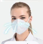 N95 Face Mask