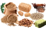 Corn Gluten,Fish meal,Soybean Meal,Sunflower meal,Corn Meal