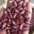 Import beans from Uzbekistan
