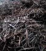 Dry Vanilla beans