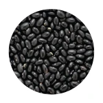 High Protein Black Beans Wholesale Bulk Black Beans With Excellent Fiber Content For Daily Healthy Lifestyle