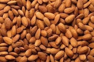 Best Price, Premium Almond Nuts, Almond Kernel, Sweet Almonds