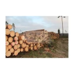 Factory-direct Pine Logs with high-density wood and smooth texture