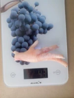 Frozen Grade AA Chicken Paw