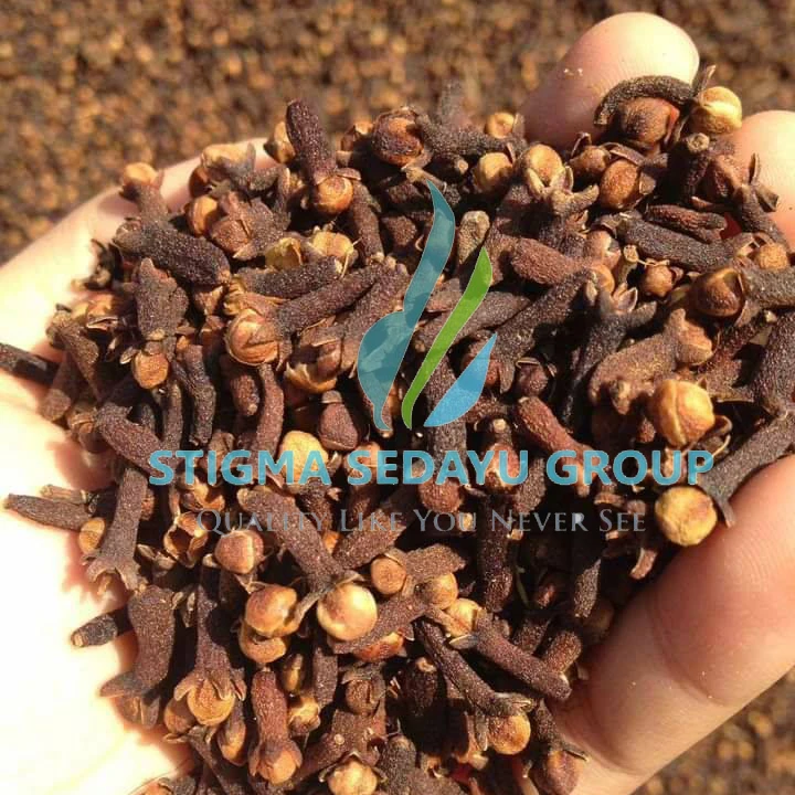 Buy Cloves Lalpari And Zanzibar from PT. Sentral Export Indonesia