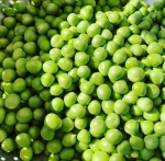 Green Peas, Yellow / Green For Sale