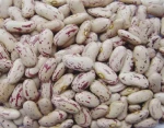 LIGHT SPECKLE KIDNEY BEANS