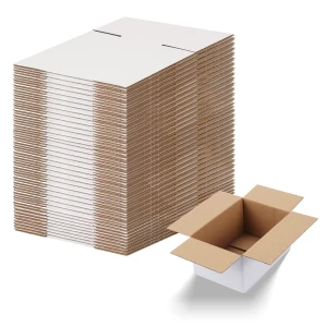 Custom Logo Printed Ear Lock Corrugated Cardboard Paper Packaging Mailer Postal Shipping Box