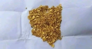 Premium Raw Gold bars