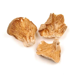 Dried oyster mushroom