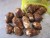 Import 100% organic health fresh small taro eddo price from China