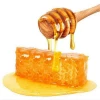 100% Pure Oribee Tualang Royal Jelly Natural Bee Honey