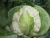 Import 2017 fresh cauliflower price for sale from China