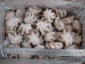 2018 new material cleaned frozen baby octopus on sale