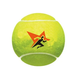 2019 High Quality Custom Logo Paddle Tennis Ball