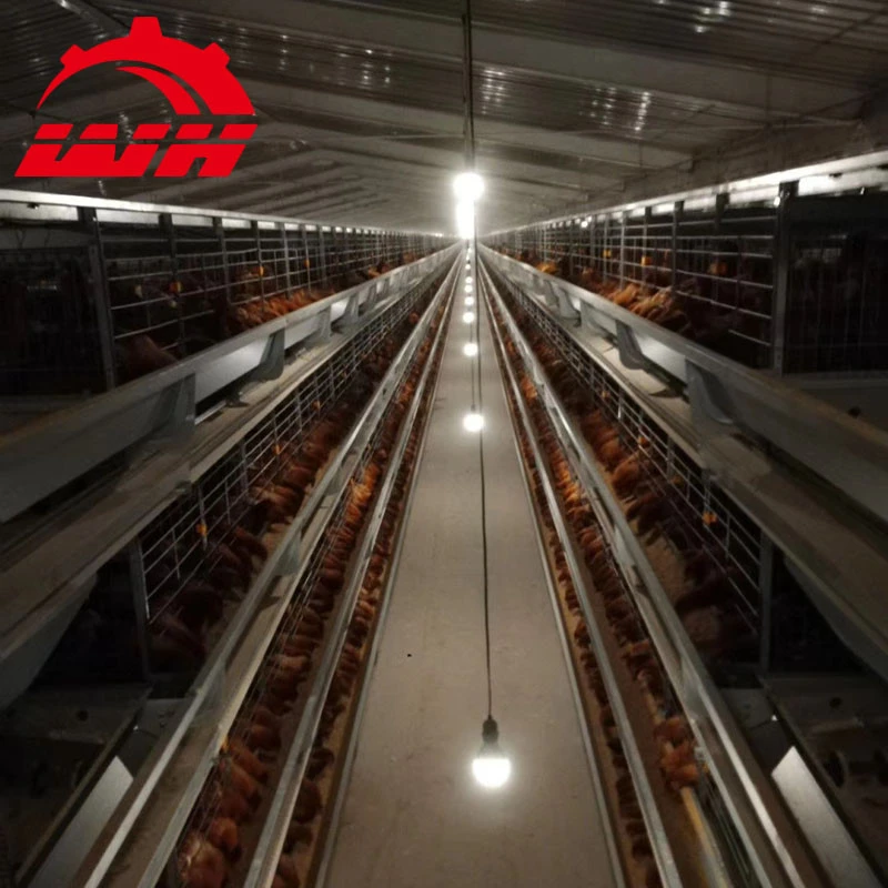 2020 hot sale broiler battery cages poultry broiler equipment