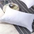 Import 2020 Luxury Hotel Linen Slipper 233TC Down Proof Fabric Hotel Feather Down Pillow from China