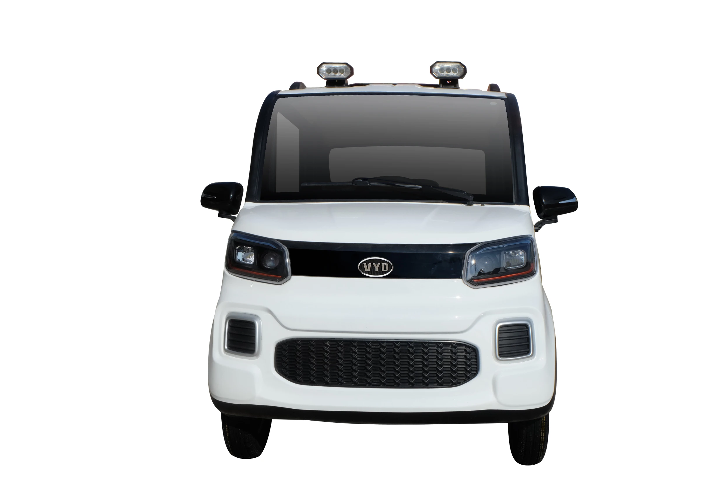 2021High Quality Electric Vehicle with Competitive Price electric car for senior