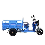 2024 New Selling Excellent Performance of Electric Freight Tricycle Tricycleelectric Cargo Tricycle and Battery Electric Scooter for Freight and Transport