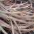 Import 20mm 99.9% Bare Bright Recycling Mill-berry Copper Wire Scrap Yard from China
