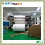 230GSM+15PE paper roll of paper cups