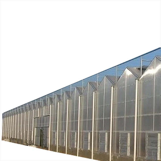 25 years experience factory low cost customized galvanized steel frame Single Span PC board  Greenhouse kit