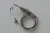 Import 3 wire RTD pt100 temperature sensor from China