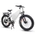 Import 48V 1500W TT Fat Tire All-terrain Hub Motor Electric Bicycle With Lithium Battery from China