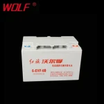 6 evf 60 vrla agm deep cycle 12v 60ah forklift battery