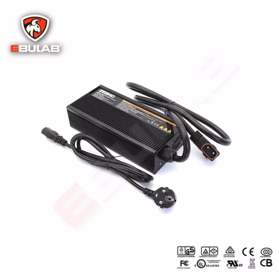 640W CE RoHS 12s 42V 10AMP Na Lithium Battery Charger Use for 36V Electric Car Bicycle Vehicle Tricycles