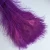 Import 70-80cm beautiful colorful artificial decorative peacock feathers from China