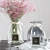 Import 8cm caliber crystal gray empty home decoration dried flower glass vases from China