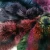 Import 9-18cm Size Many Color Available Fox Raccoon Fur Pom Poms from China