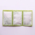 Absorbed Water Dry Ice Pack Manufacturer