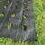 Import Agricultural anti-aging horticultural ground lawn cloth  agro farming plastic net from Hong Kong