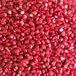 Agricultural corn/cotton/peanut/soybean crop herbicide weeding film masterbatch