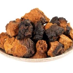 Anti cancer dietary supplement material siberia chaga mushroom extract/organic chaga mushroom extract powder