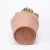 Artificial Cactus Natural Looking Fake Plastic Plant Bonsai 21*20.5*34cm Faux Cactus in pp pot