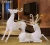 Import Artificial deer resin animal statue table decoration return gift office decoration for desk interior accessories from China