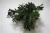 Import Artificial eucalyptus leaves greenery plants bush for home wedding decoration from China