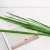 Import Artificial Plant 12 Leaves of Southeast Asia Cloth Leaf Pseudomonas and Green Planting Home Decoration Ornament from China