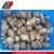 Import Authenticated GAP Frozen Taro Root, Fresh Burdock Root from China