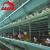 Automatic Battery Layer Broiler Chicken Cages Farm Equipment