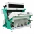Import Automatic nigeria thailand indonesia vietnam rice seeds olives grain sorting machine from China