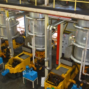 Automatic palm oil press equipment