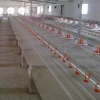 Automatic Poultry Feeding And Drinking System for chicken farm house ground floor raising keeping equipment
