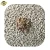 Best Clumping Wood Core Cat Sand