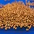 Import Best Quality Alfalfa Seeds in Growing Animal Feed Grass from Germany